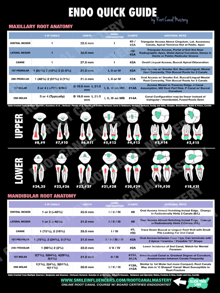 The Editable One Reduced Size | PDF