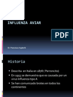 Influenza Aviar