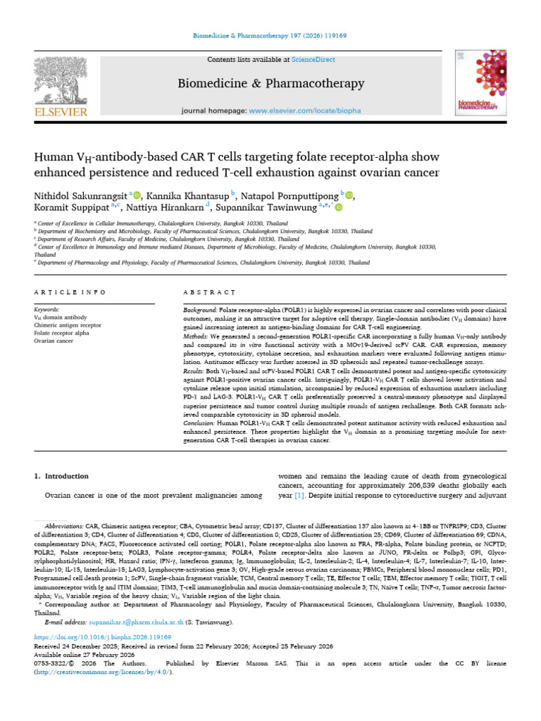 Human VH | PDF | T Cell | Antibody