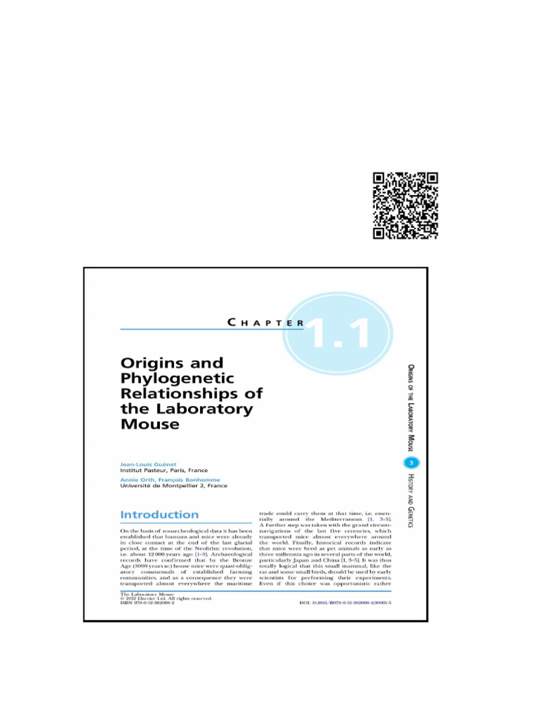 Laboratory Mouse The | PDF | Quantum Chromodynamics | Fundamental ...