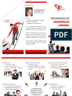 Desarrollo laboral