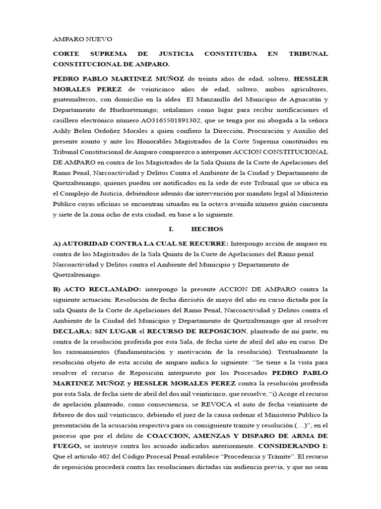 Expediente de Amparo | PDF | Apelación | Debido al proceso