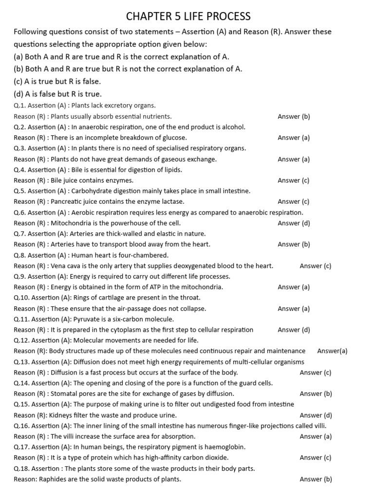 Chapter 5 Life Process | PDF | Digestion | Artery