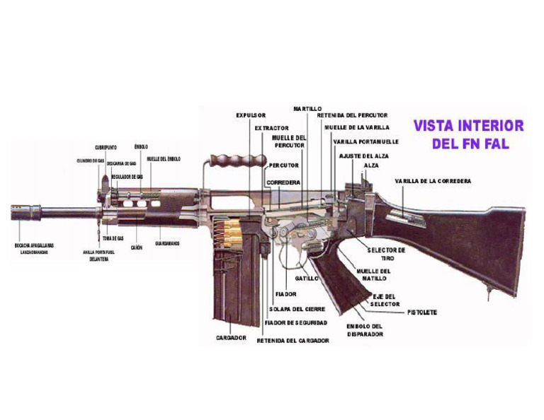 Vista Interna Del Fal | PDF