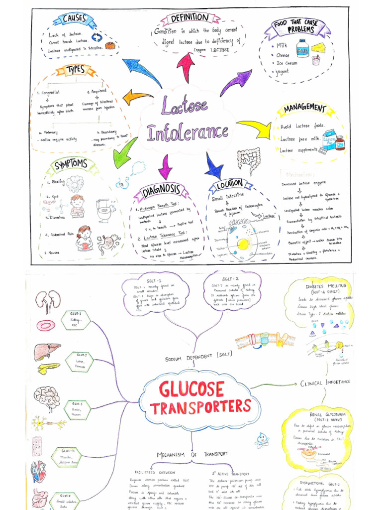 Mind Maps on Carbohydrate metabolism, Diabetes and Obesity | PDF