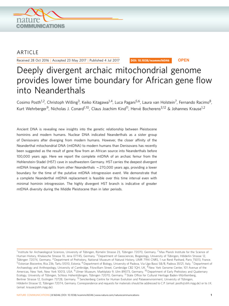 Deeply Divergent Archaic Mitochondrial Genome | PDF | Mitochondrial Dna ...