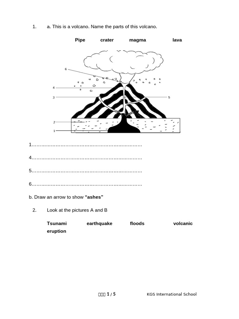 Grade 3 Science Mot March 2025 | PDF