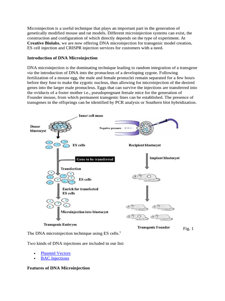Micro Injection | PDF | Transgene | Genetics