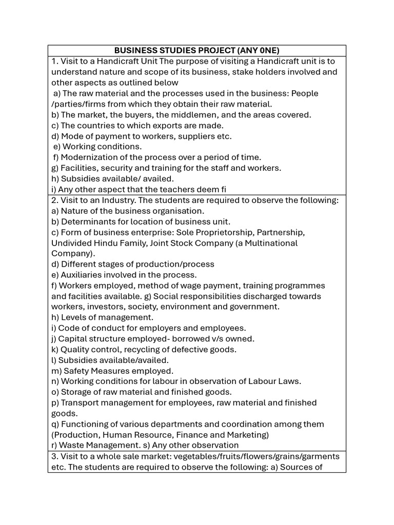 Business Studies Project | PDF