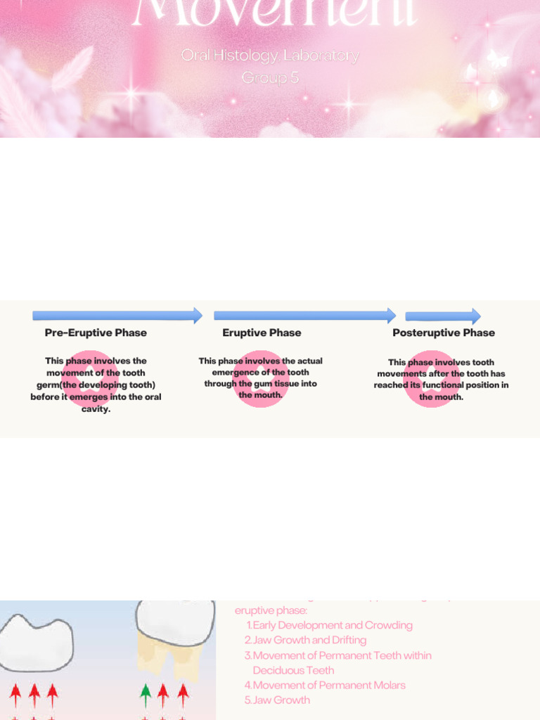 Histology of Tooth Movement | PDF