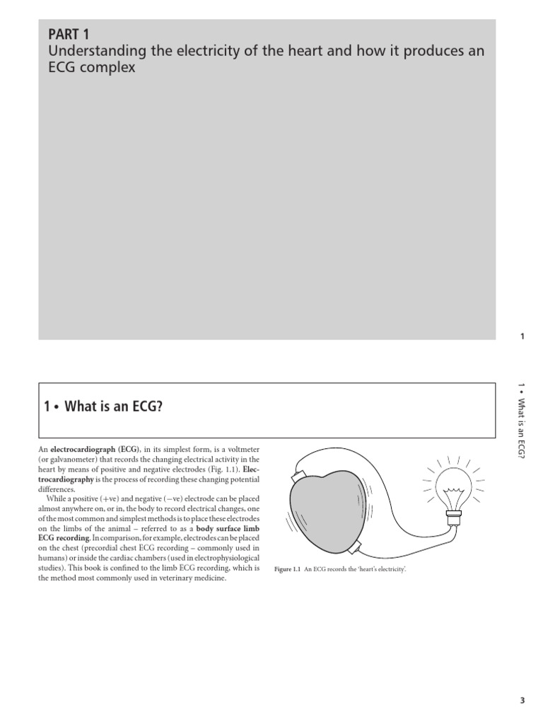 vvcf | PDF