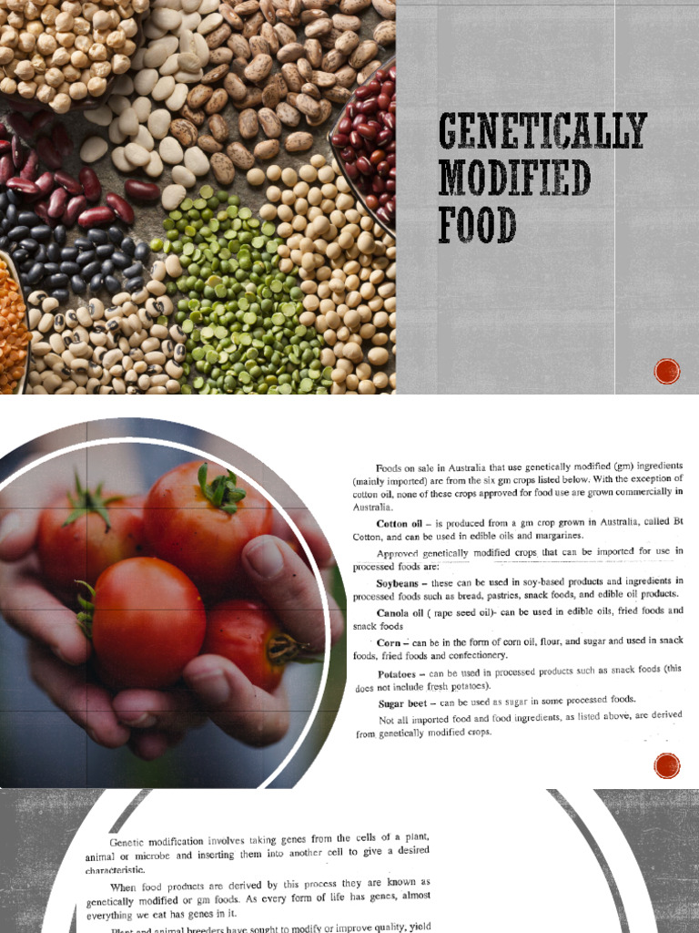 Genetically Modified Food | PDF