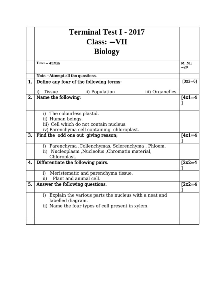 Terminal Test II | PDF