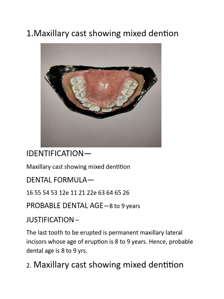 Oral Pathology Cast Identification | PDF | Tooth | Dentistry