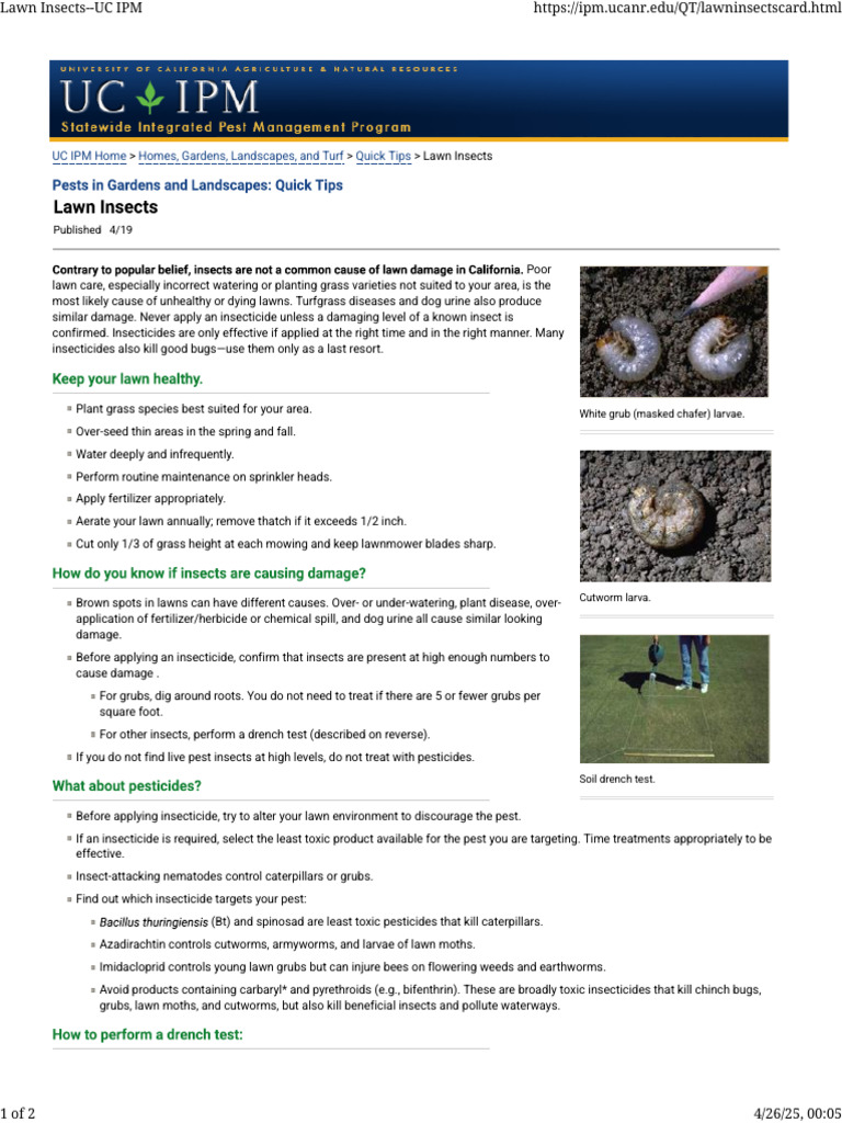 Lawn Insects | PDF | Lawn | Pesticide