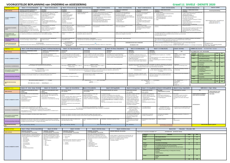 Gr11 - CVLT - Dienste - Beplanning - 2020 AFRIKAANS | PDF