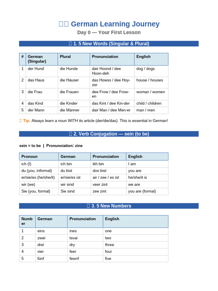 German Day0 Lesson | PDF | Grammatical Gender | English Language