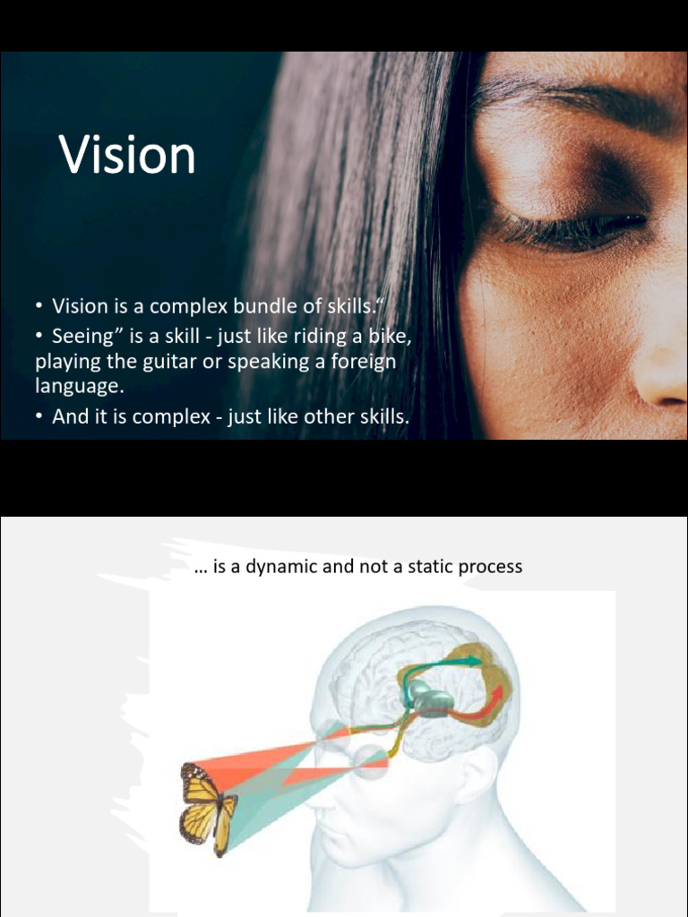 2 Vision Basics | PDF | Visual System | Nervous System