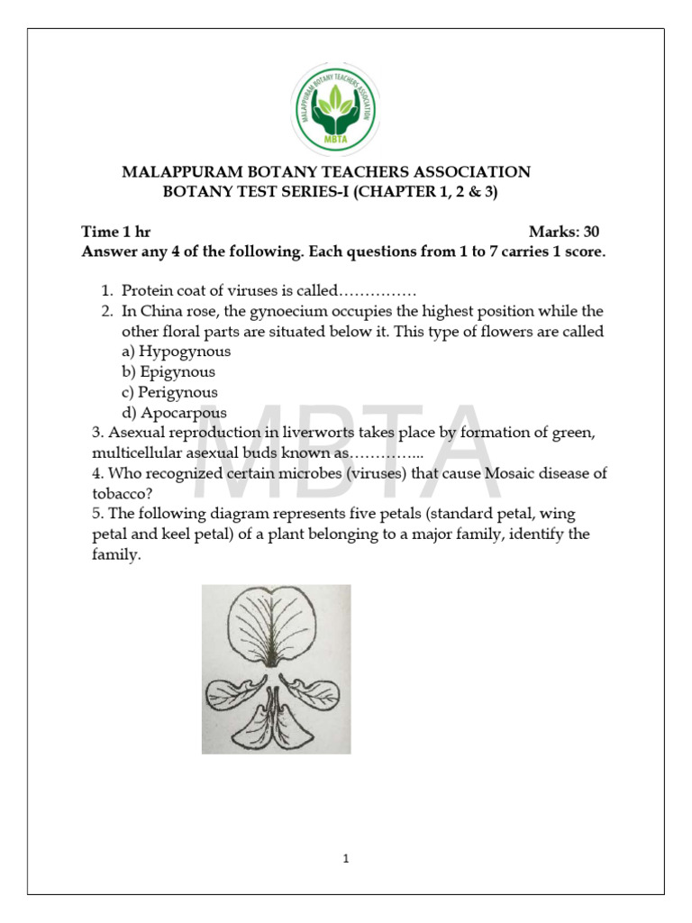 Hsslive Xi Botany Revision Test CH 1 11 | PDF | Mitosis | Cellular ...