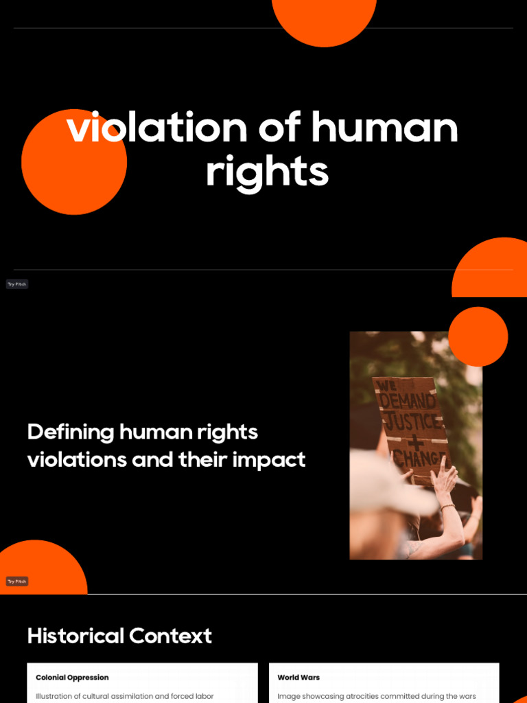 Human Rights Violations | PDF