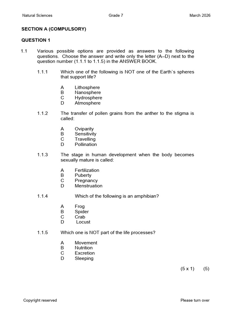 Natural Sciences Term 1 Test - 102025 | PDF | Flowers | Reproductive System