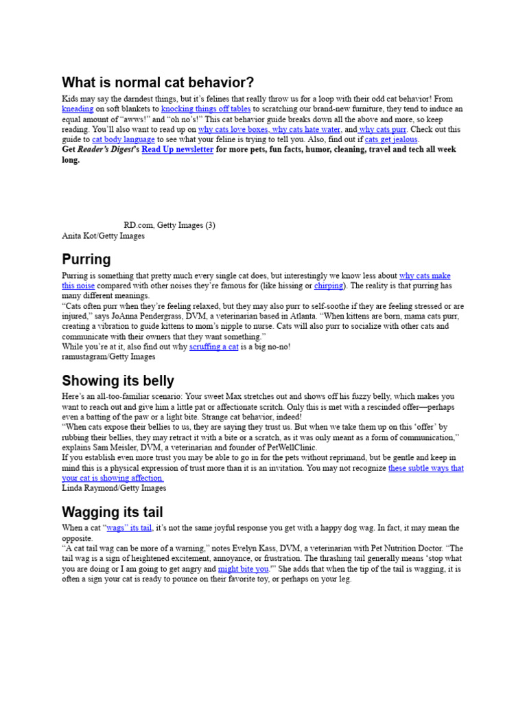 What Is Normal Cat Behavior | PDF | Cats | Domesticated Animals