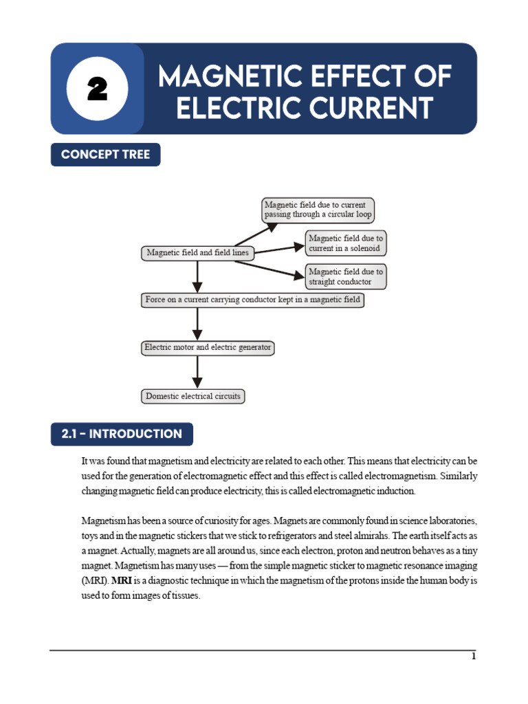 Physics - Magnetic Effect of Current | PDF | Magnetic Field | Magnetism