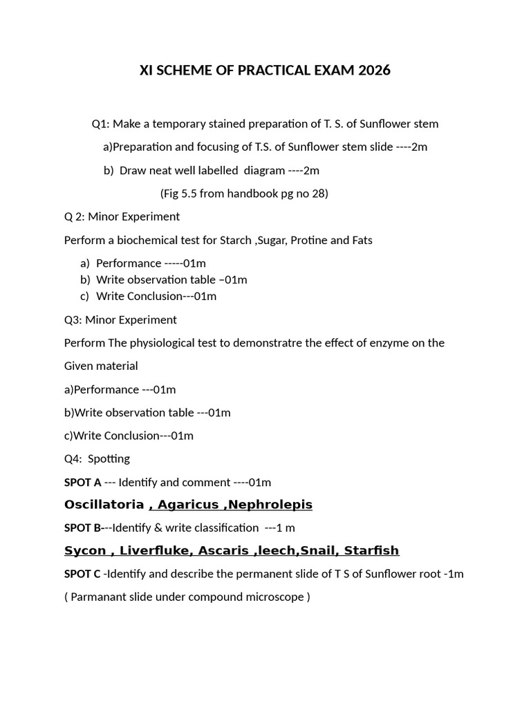 Xi Scheme of Practical Exam 2026 | PDF