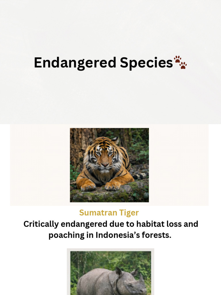 Endangered-Species 20260206 011608 0000 | PDF | Endangered Species ...