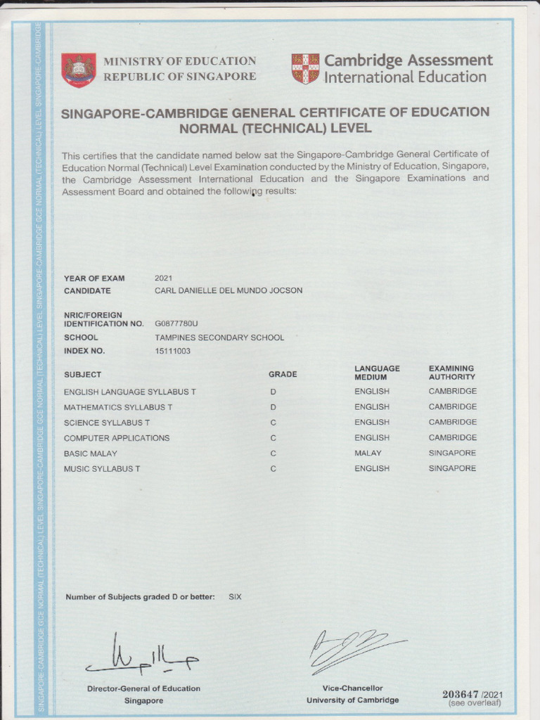 Carl School Cert | PDF