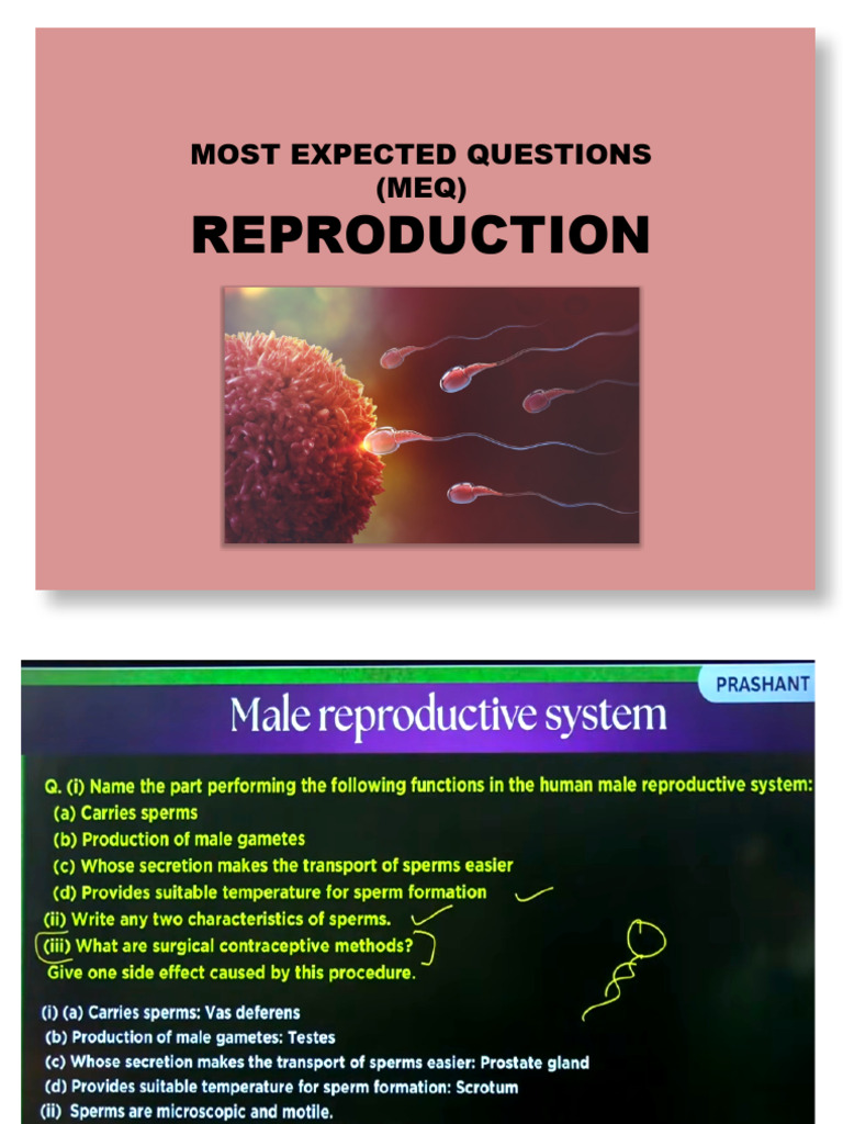 Reproduction | PDF