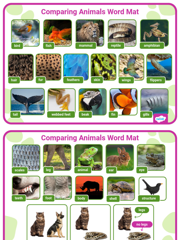 Word Mat Comparing Animals | PDF
