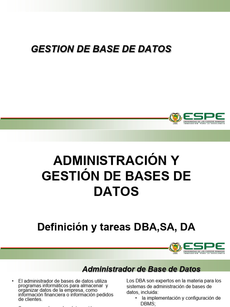 Gestion de Base de Datos (1) | PDF | Bases de datos | Seguridad