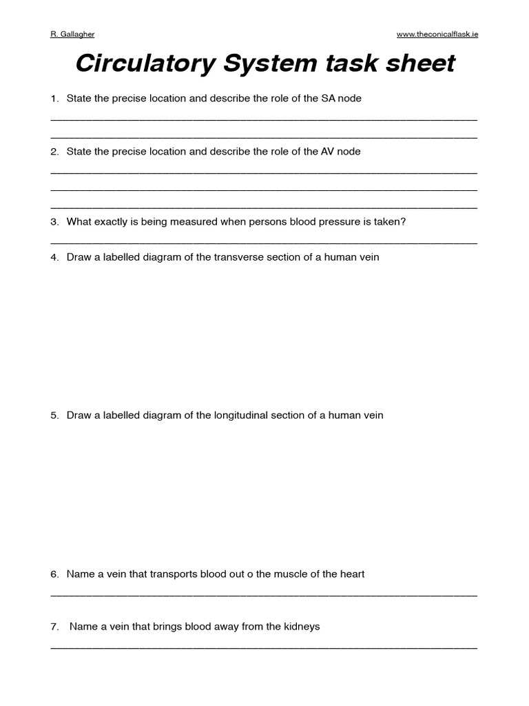 Circulatory System task sheet | PDF | Circulatory System | Vein