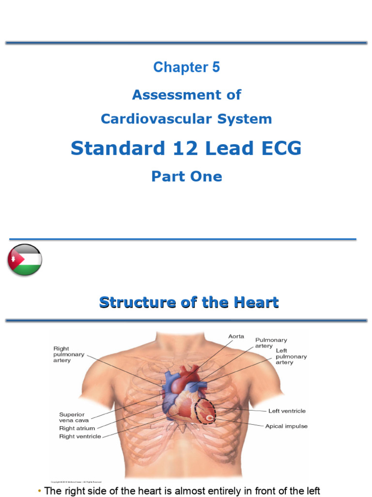 1 ECG Part 1 | PDF | Electrocardiography | Heart