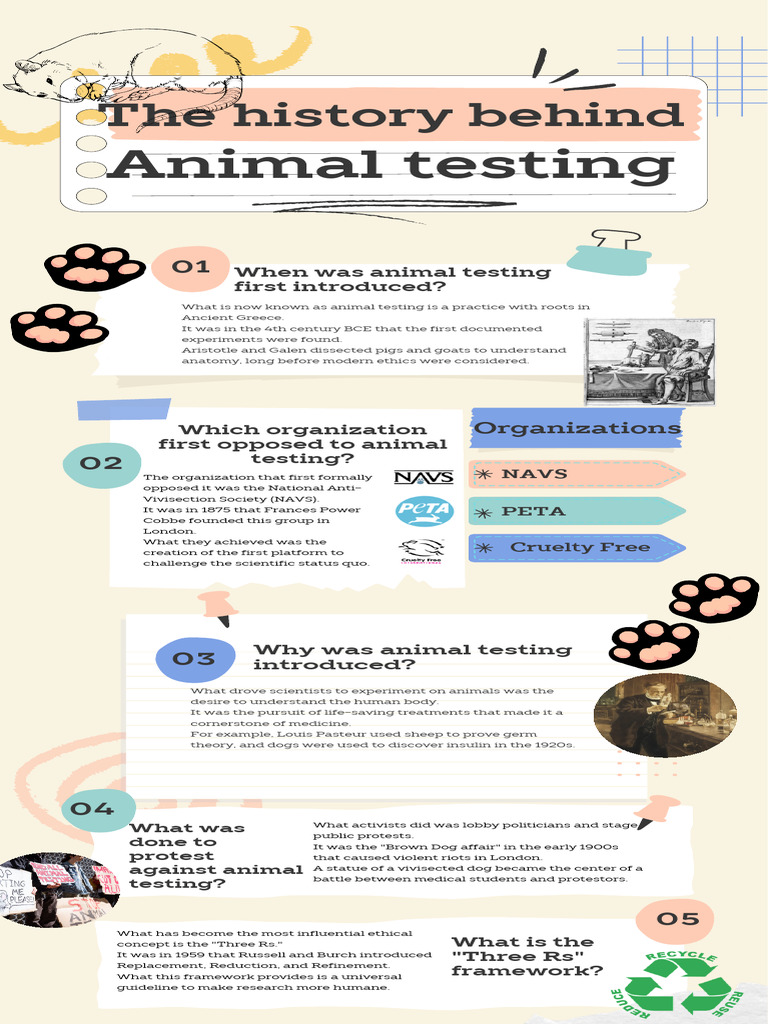 Colorful Playful Organic Project Infographic | PDF | Animal Testing ...