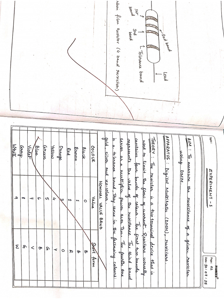 Bee Lab File-1 | PDF