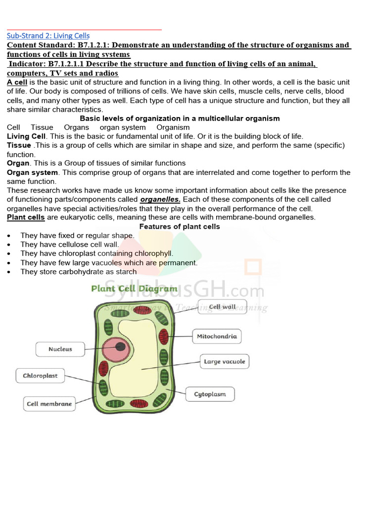B7.1.2.1.1 Describe the Structure and Function of Living Cells | PDF ...