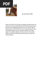 Download Respiratory Conditions in Horses by Jean Hofve DVM SN1012977 doc pdf