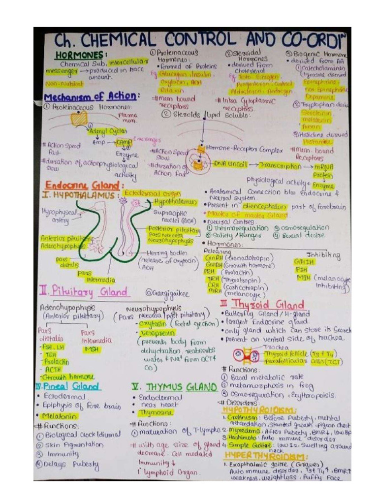 Chemical Control Print | PDF