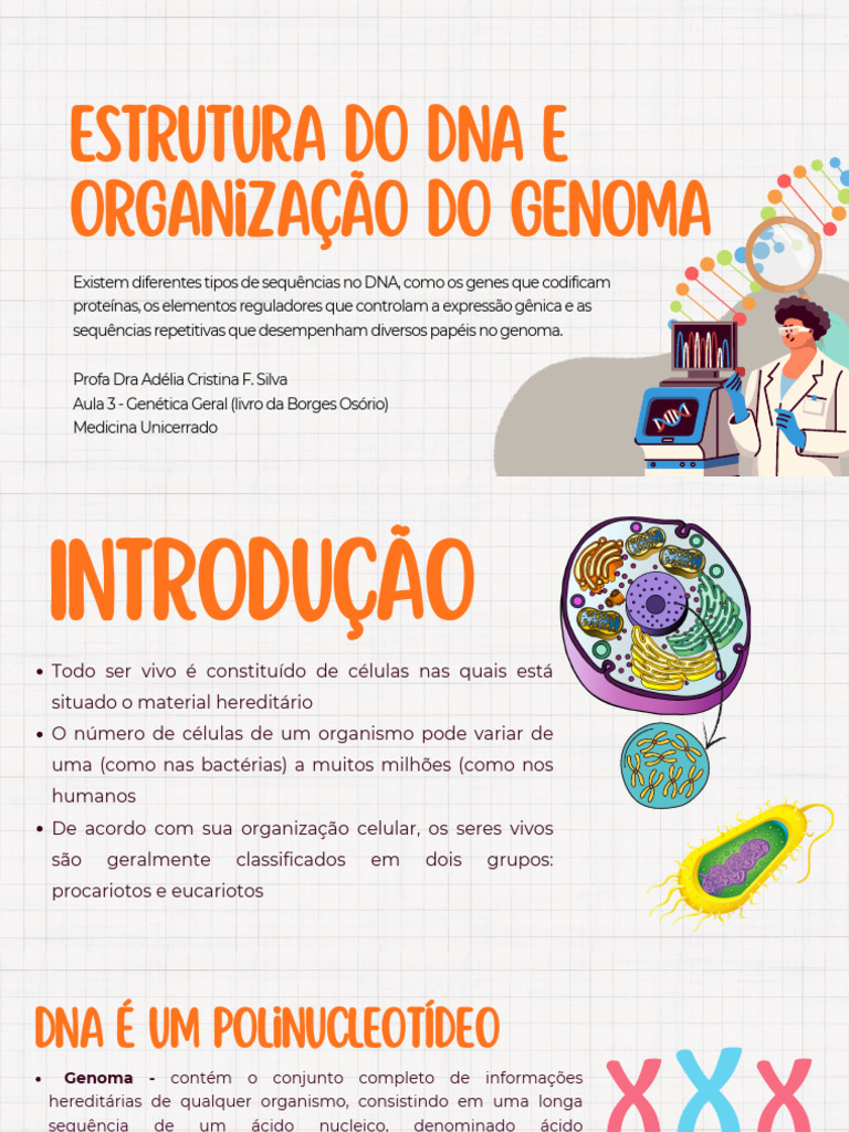 Aula 3 - Tipos de Sequencias Unicerrado | PDF | Gene | DNA