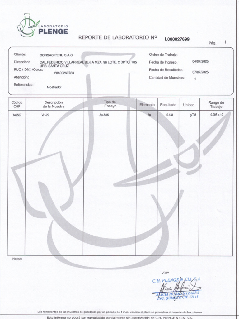 Reporte de Laboratorio 27699 - CONSAC PERU | PDF