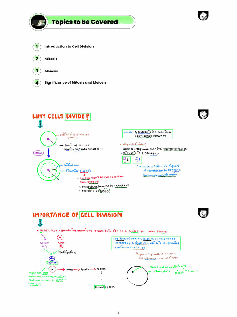 Cell Cycle and Cell Division 01 Class Notes - Processed | PDF