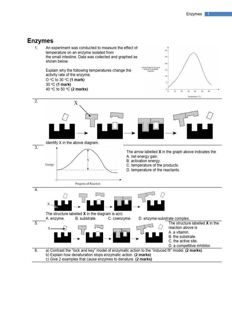 5_enzymes_provincial | PDF | Enzyme | Active Site