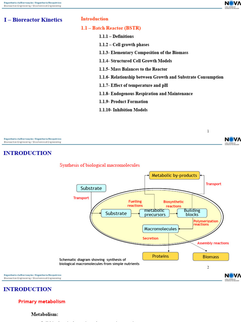 Bioreactor Kinetics I - Part 1 | PDF