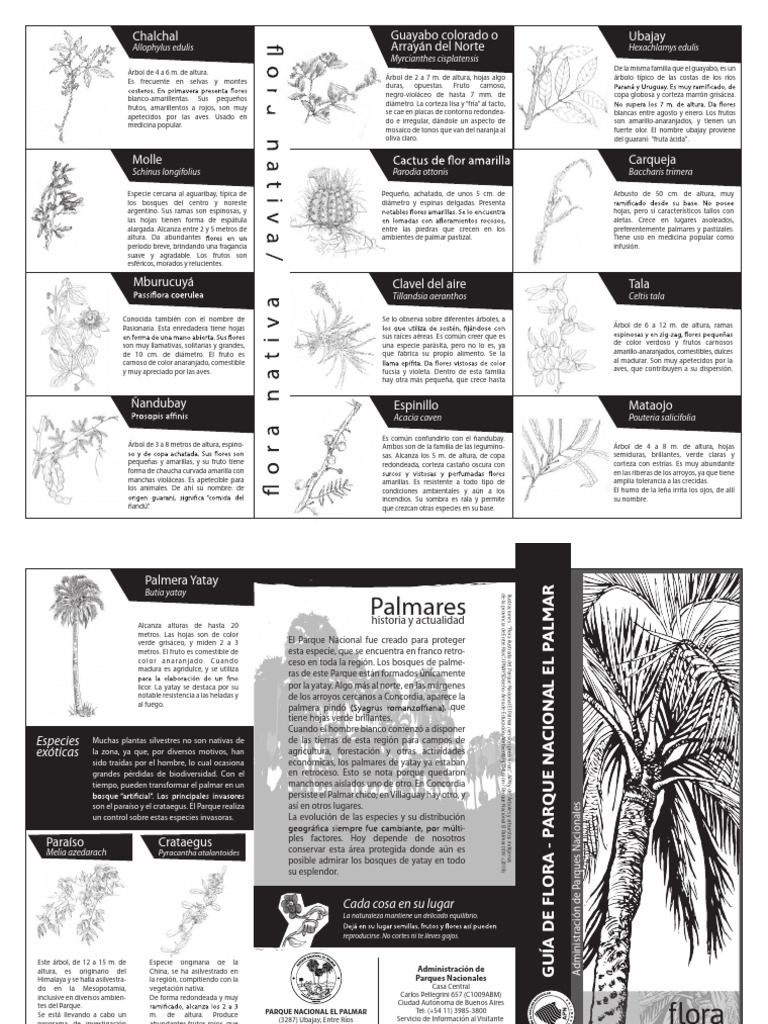 Folleto Flora PNEP | PDF | Arboles | Plantas