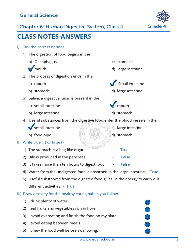 AK CN Grade+4 General+Science Chapter+6 Class+4 | PDF | Digestion ...