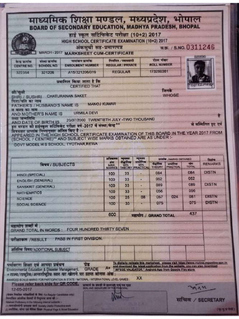 10th (High School) Marksheet | PDF