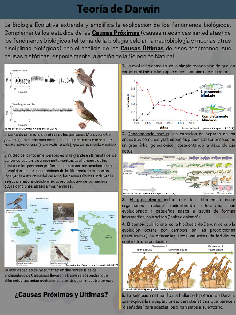 Teoría de Darwin Resumida | PDF | Evolución | Seleccion natural