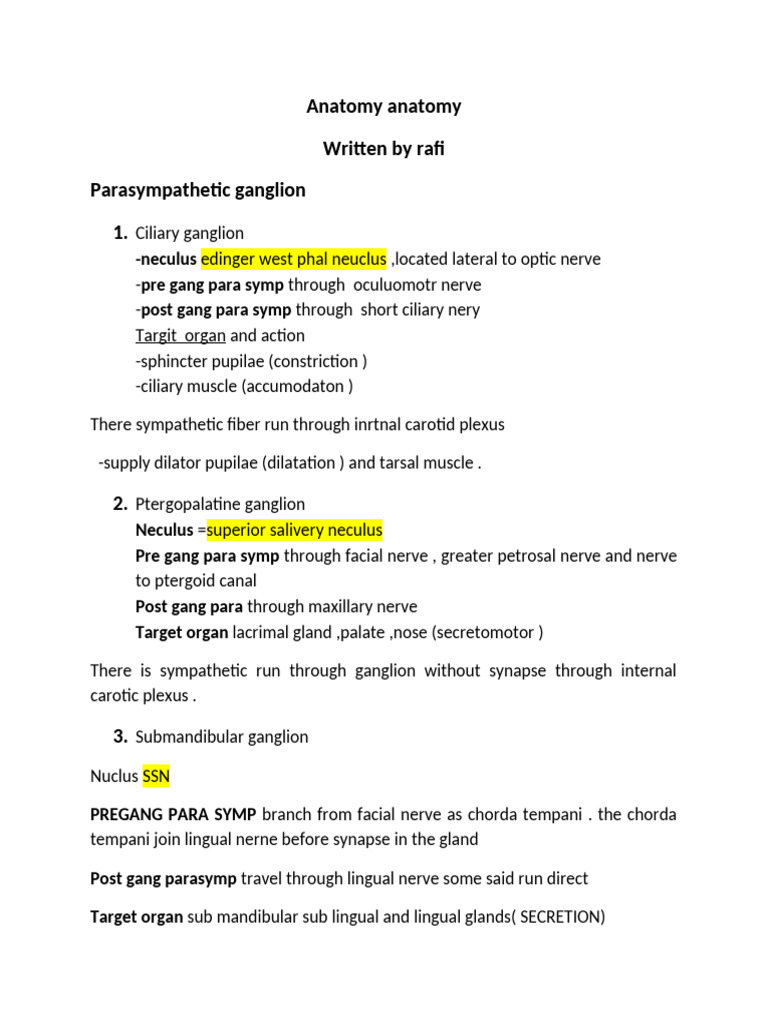 Updates Rafi Anat | PDF | Common Carotid Artery | Human Anatomy